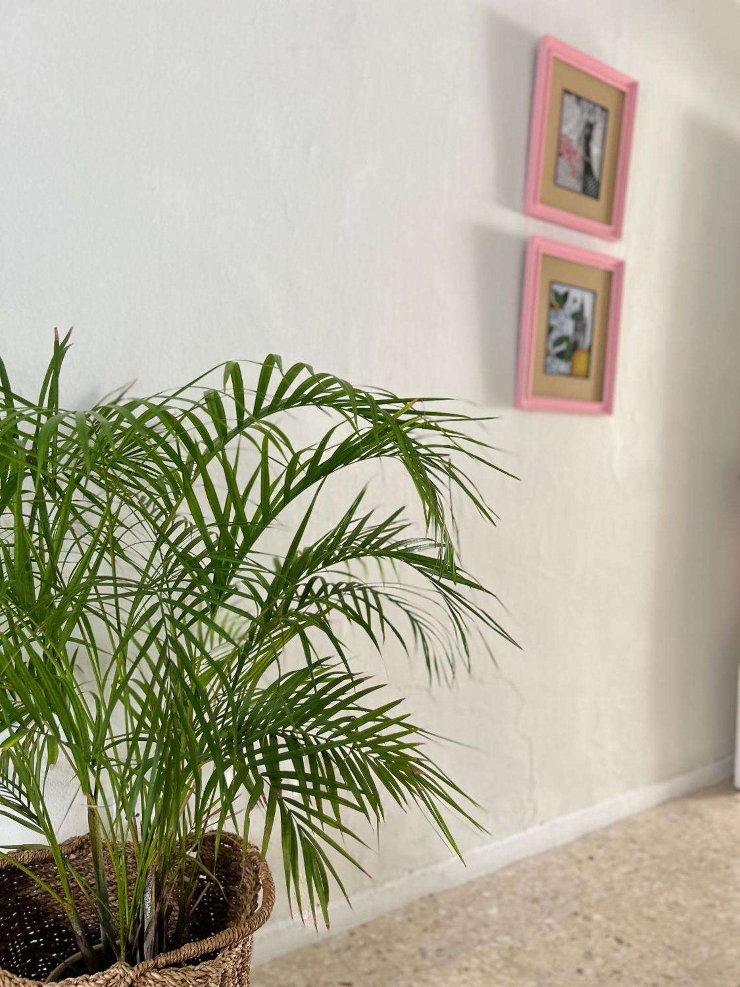 Arco Macarena Apartment Seville